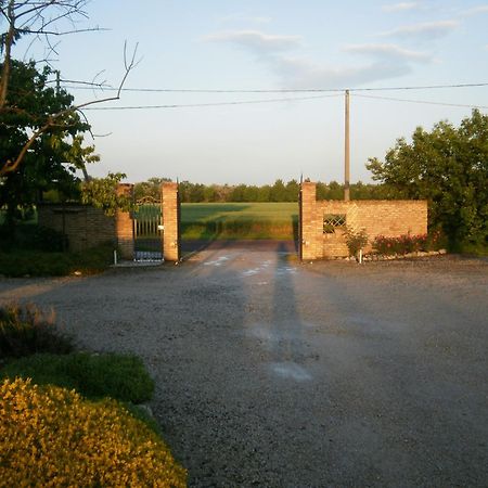 Agriturismo La Cascinetta ปิเอเวดิเชนโต ภายนอก รูปภาพ