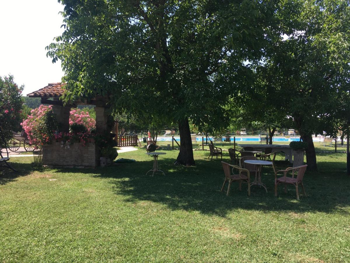 Agriturismo La Cascinetta ปิเอเวดิเชนโต ภายนอก รูปภาพ